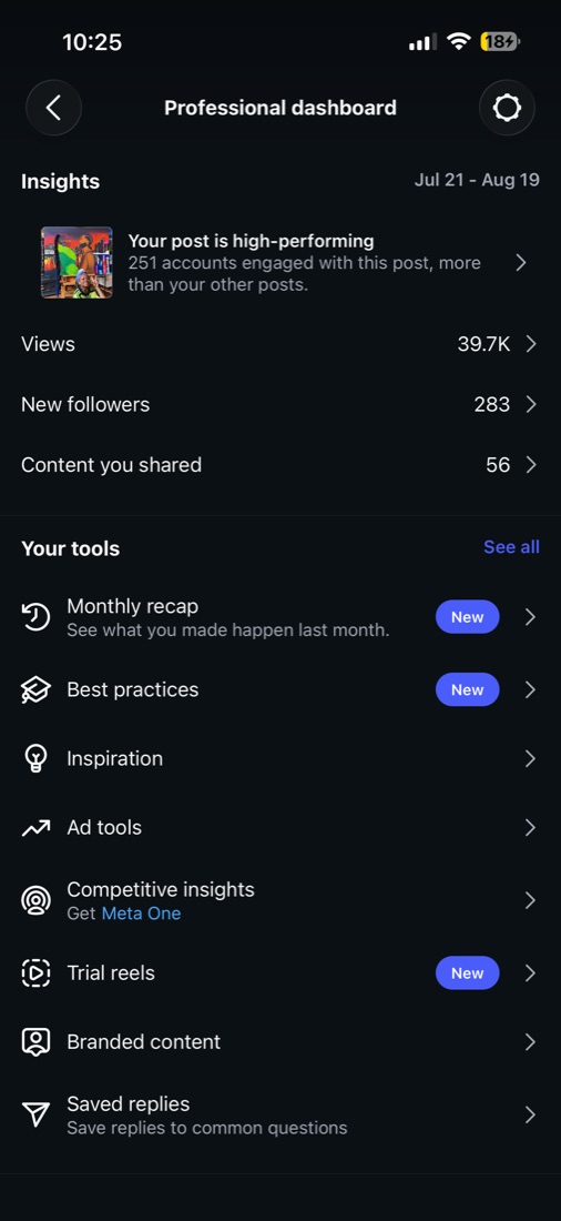 Instagram professional dashboard overview